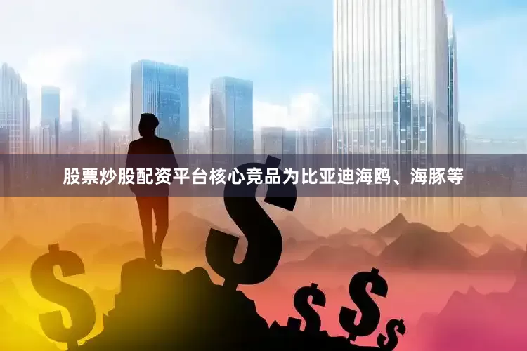 股票炒股配资平台核心竞品为比亚迪海鸥、海豚等