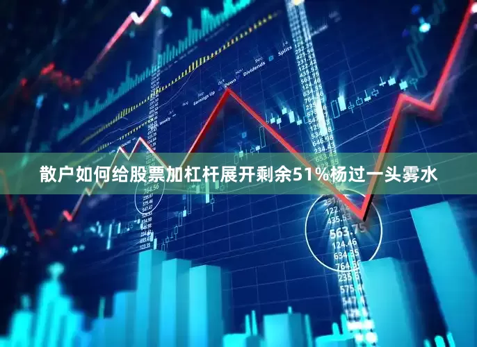 散户如何给股票加杠杆展开剩余51%杨过一头雾水