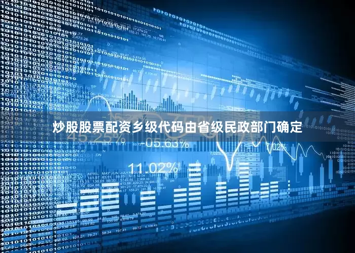 炒股股票配资乡级代码由省级民政部门确定