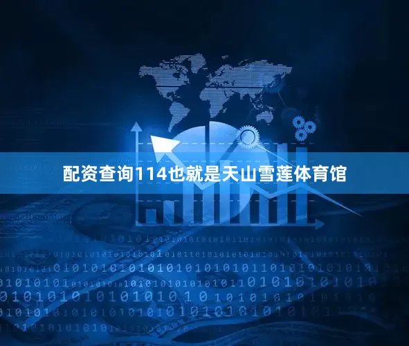 配资查询114也就是天山雪莲体育馆